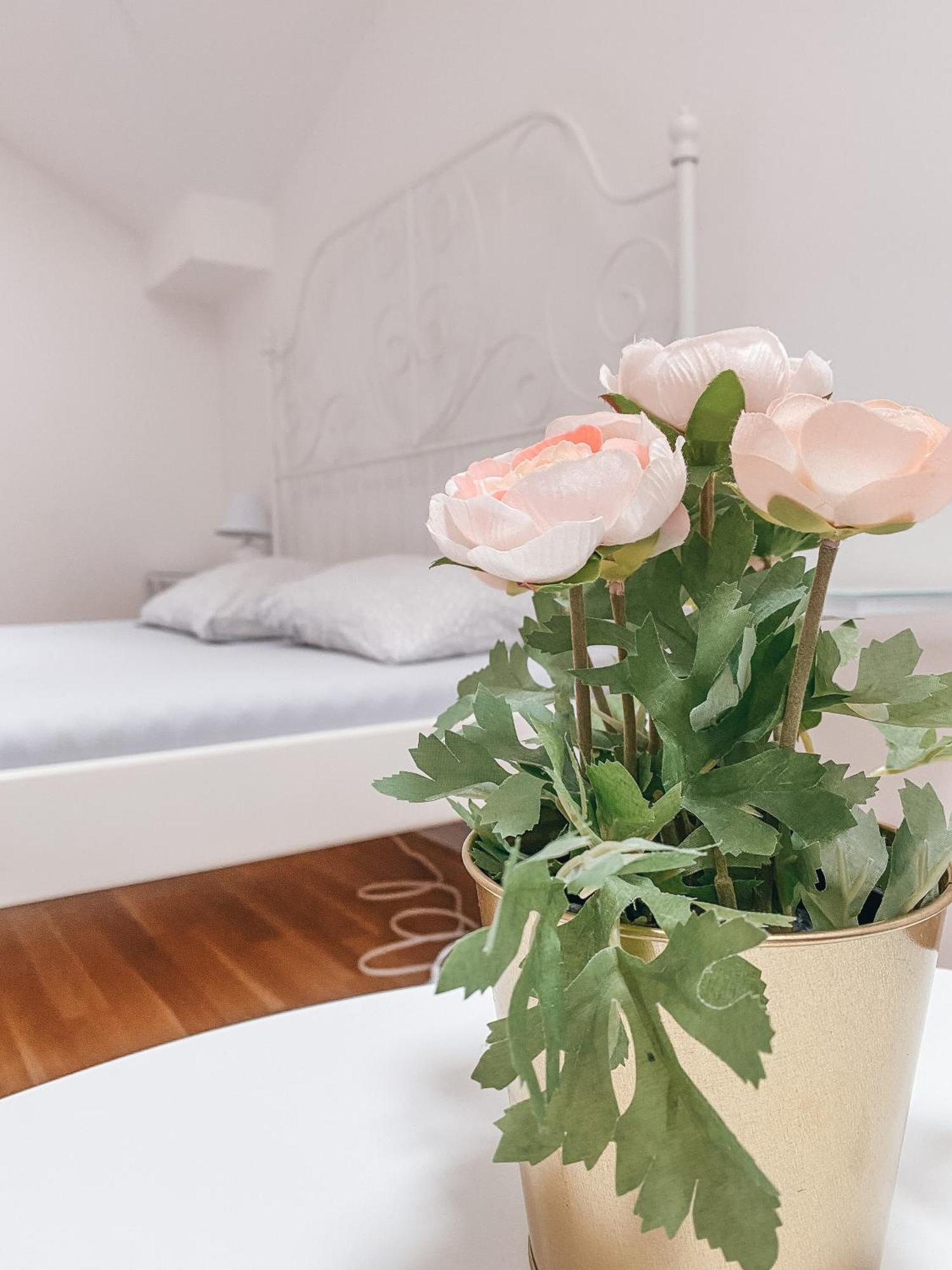 Blue Lotus Apartments Bratislava Eksteriør bilde